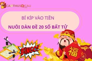 dan de 20 so nuoi khung 3 ngay bi quyet toi uu cho cuoc lo hieu qua 699660ceb2680